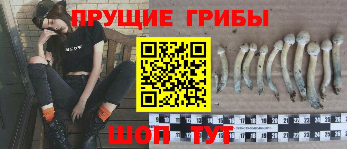 Псилоцибиновые грибы мицелий  Галлюциногенные грибы ЛСД  Баксан  как найти   Вход с VPN 